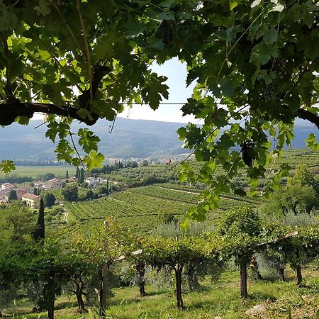 Agriturismo Valentina Cubi Fumane Εξωτερικό φωτογραφία