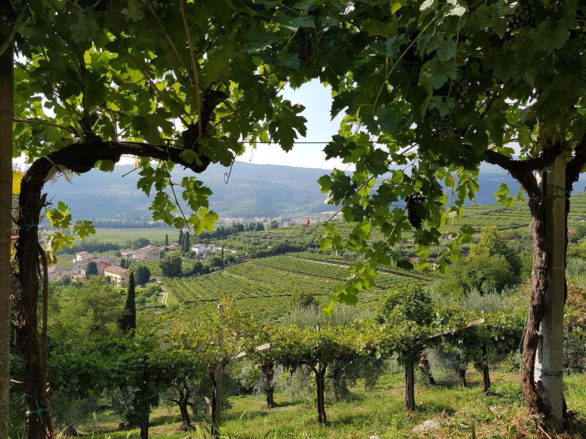 Agriturismo Valentina Cubi Fumane Εξωτερικό φωτογραφία