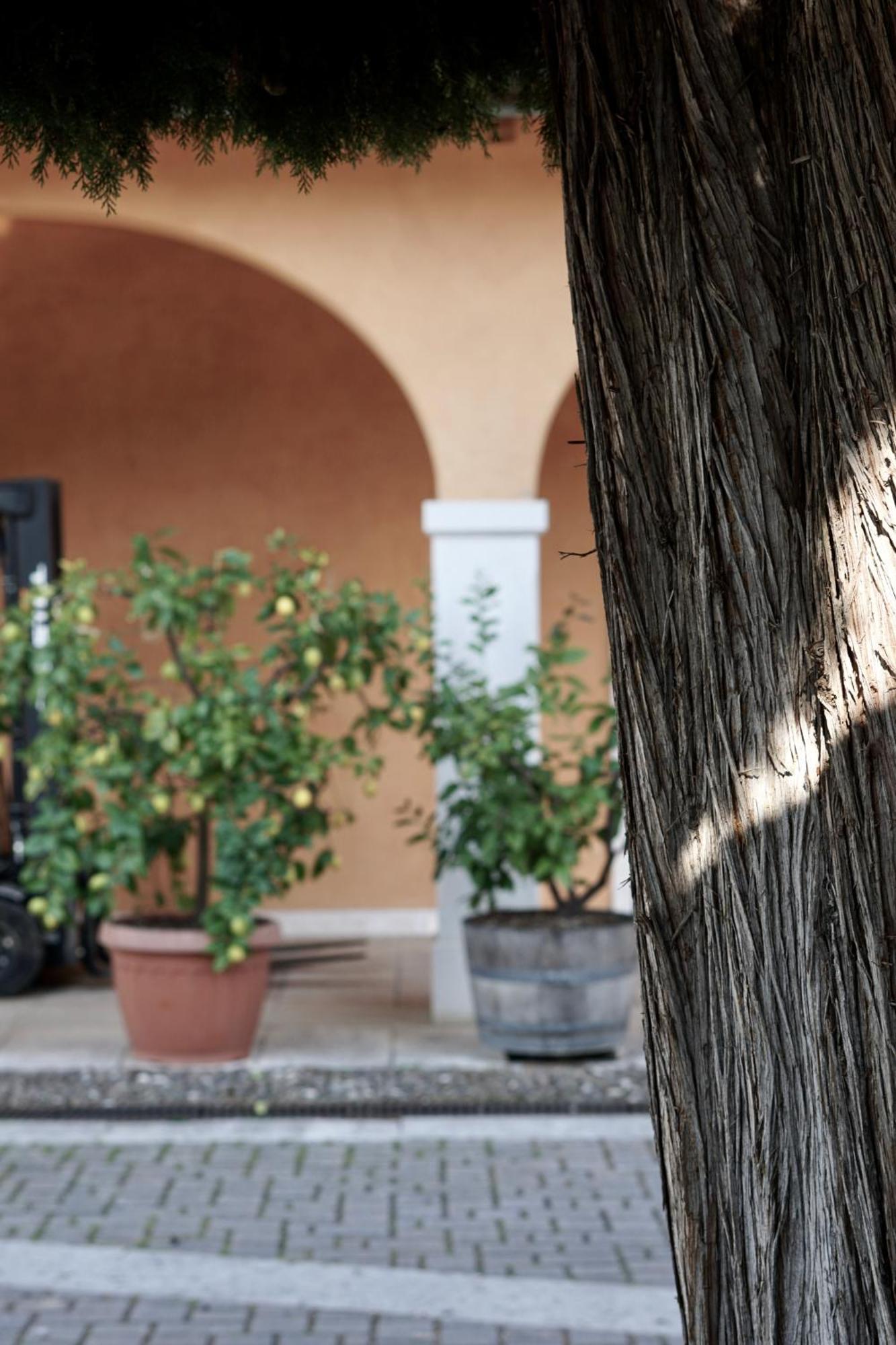 Agriturismo Valentina Cubi Fumane Εξωτερικό φωτογραφία