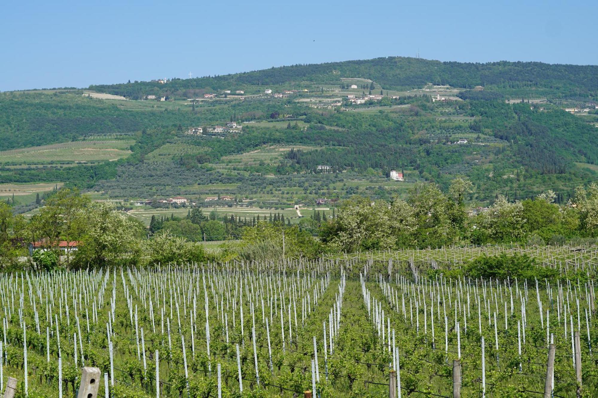 Agriturismo Valentina Cubi Fumane Εξωτερικό φωτογραφία
